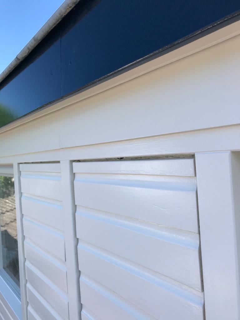 Schilderwerk woning Breda